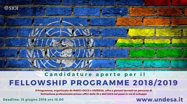 fellowships programme